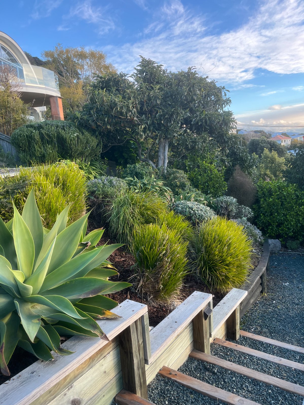 Work by Moana Garden Services