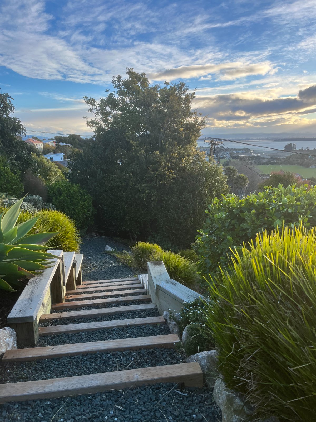 Work by Moana Garden Services