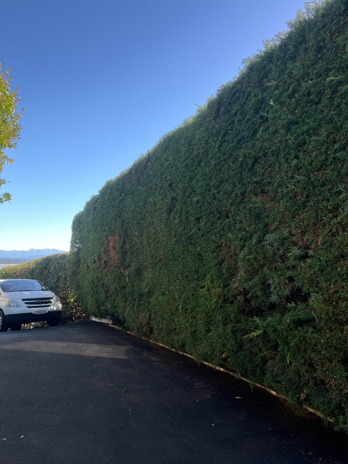 Work by Moana Garden Services