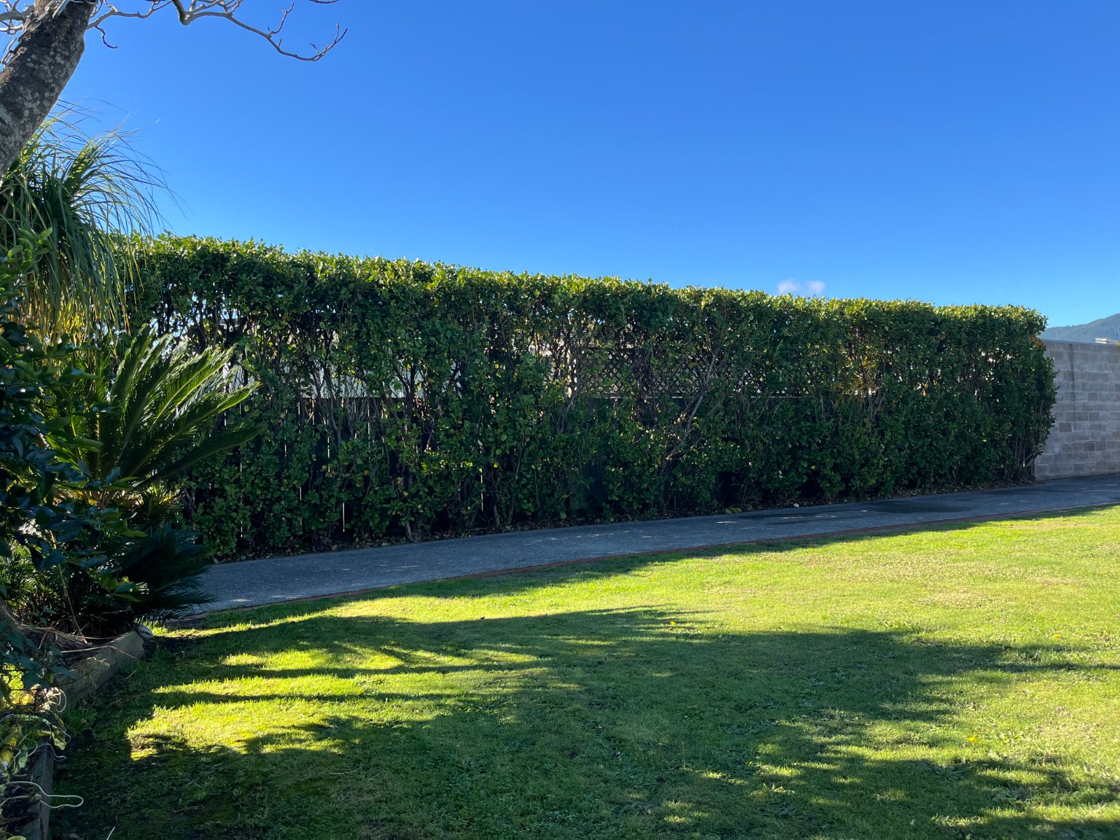Work by Moana Garden Services